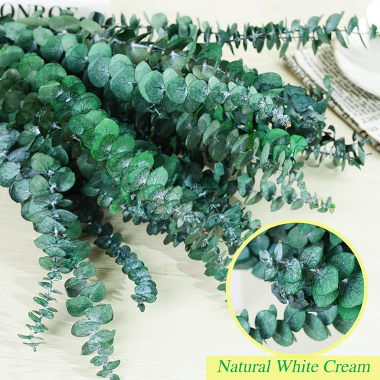 Fresh Eucalyptus Shower Bundle