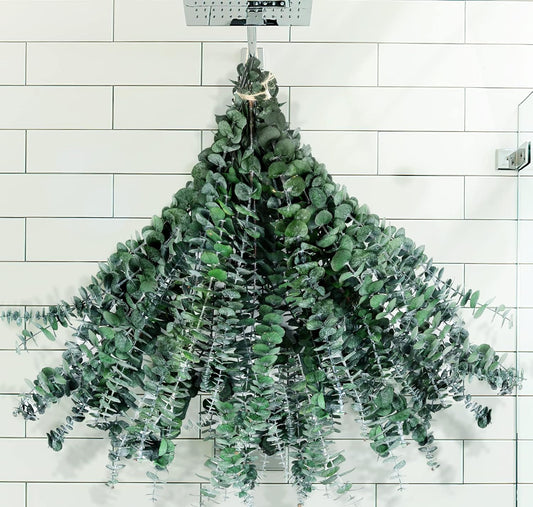 Fresh Eucalyptus Shower Bundle
