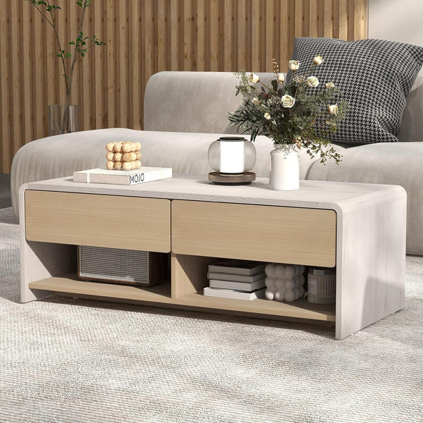 Elegant Storage Coffee Table