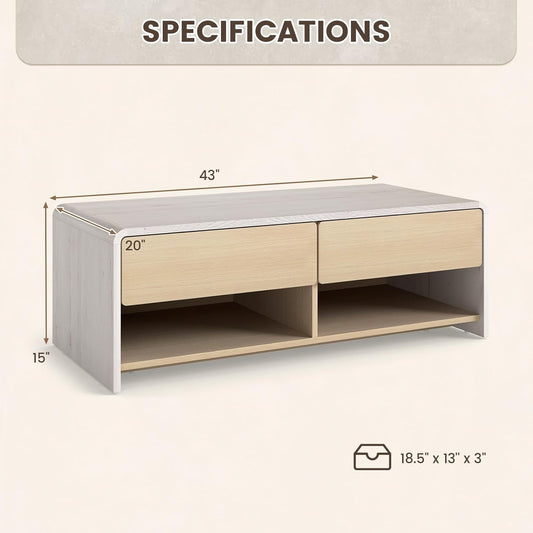 Elegant Storage Coffee Table