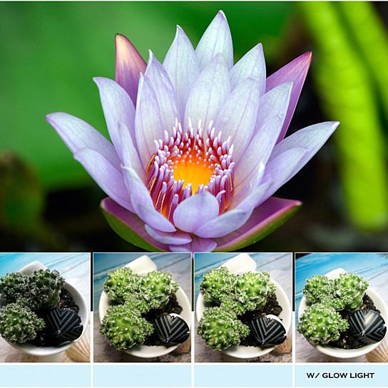 Glow Face Photo Enhancer