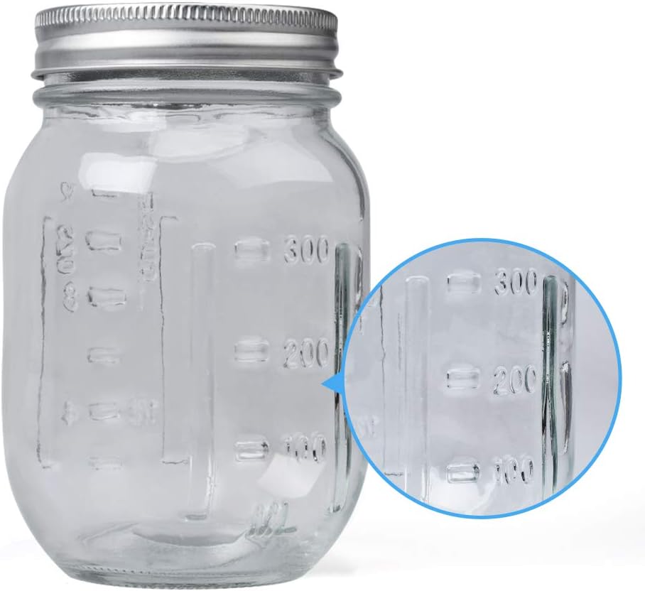 12 Pack Mason Jars 12 OZ